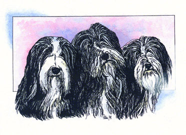 Three Bearded Ladies ~ watercolour by Patrice