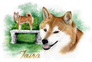 Taira ~ Watercolour by Patrice