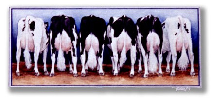 Cow Butts ~ Watercolour by Patrice