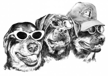 3 Rotties ~ Illustration by Patrice