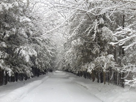 Winter's Lane ~ Photo by Patrice