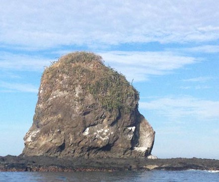 Monkey Head Rock in CostaRica ~ Photo by Patrice