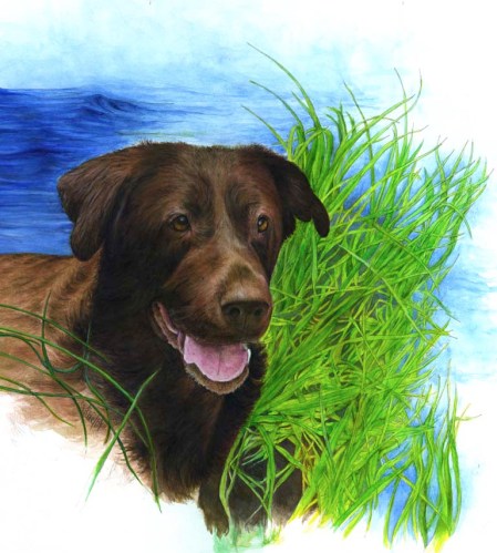 Zeke Painting ~ Watercolour by Patrice