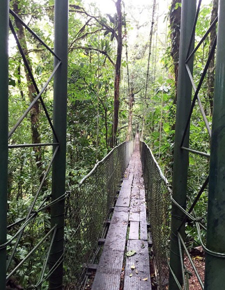 Swinging Bridge in Costa Rica ~ Photo by Patrice