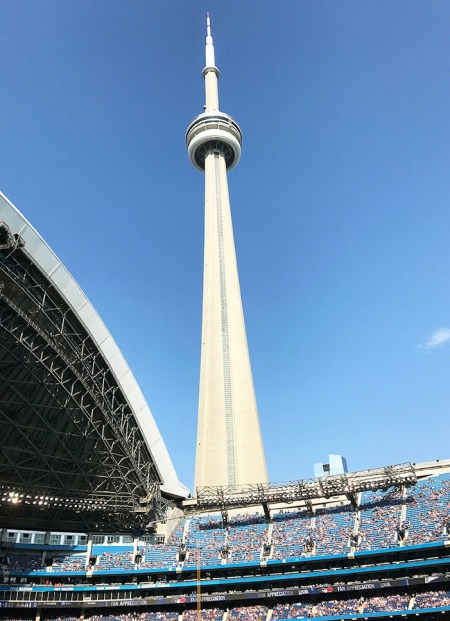 Blue Jays Game ~ Photo by Patrice